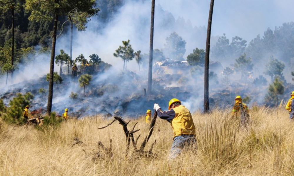 Más de 875 hectáreas afectadas por incendios forestales en Morelos esta temporada.