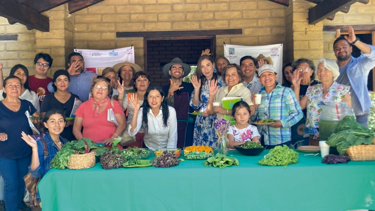 Cosecha Secretaría de Desarrollo Sustentable hortalizas del aula ecológica del Parque Chapultepec de Cuernavaca 