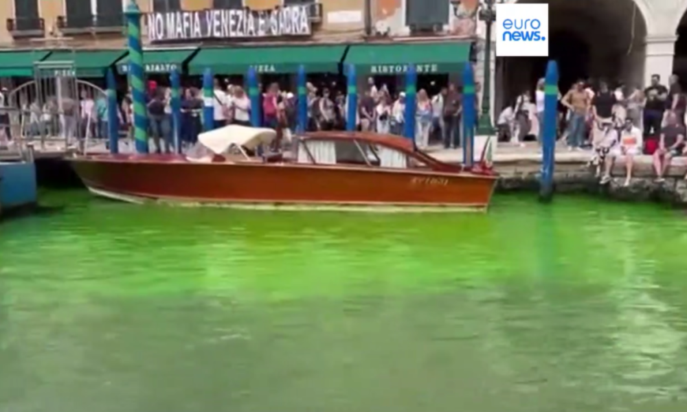 El canal de Venecia se pinta de verde