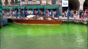 El canal de Venecia se pinta de verde