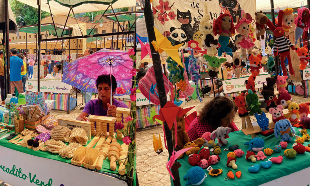 El Mercadito Verde Morelos celebró en el Parque Barranca Chapultepec de Cuernavaca su décimo aniversario