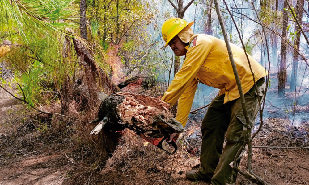 Mando Unificado logra controlar en un 80% incendio forestal en el paraje ‘El Fresno’ en Santa María, al norte de Cuernavaca