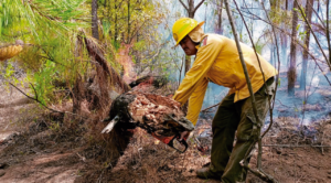 Mando Unificado logra controlar en un 80% incendio forestal en el paraje ‘El Fresno’ en Santa María, al norte de Cuernavaca