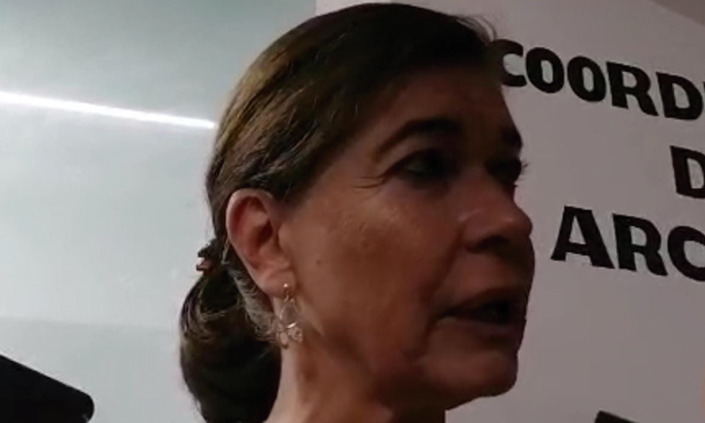 Está justificado el bono de retiro que se aprobó para consejeros electorales, aseguró la presidenta del Impepac, Mireya Gally Jordá