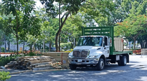 Comienzan trabajos de lo que pudiera ser la rehabilitación de la Plaza de Armas “General Emiliano Zapata Salazar”, tras levantarse parte del piso