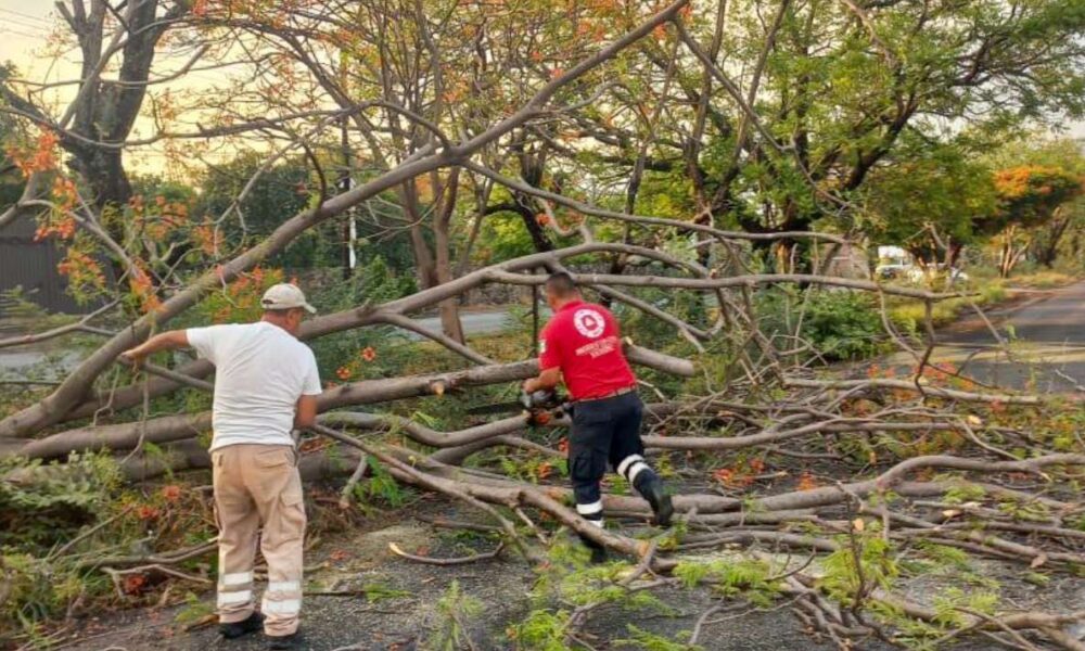 Reportan afectaciones por lluvias en cinco municipios del Estado