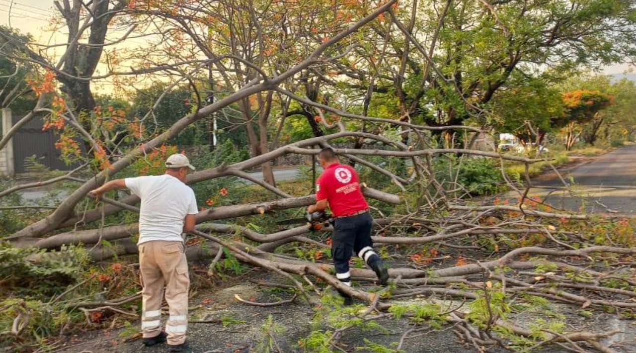 Reportan afectaciones por lluvias en cinco municipios del Estado