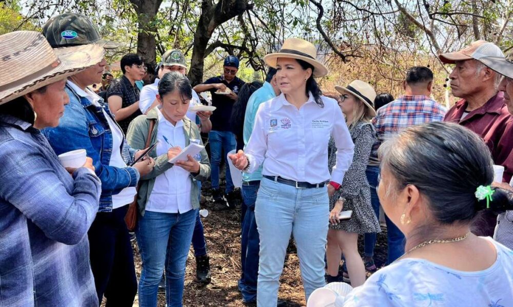 Arrancan 80 productores y la SDEyT, Ciclo Agrario en Tepoztlán