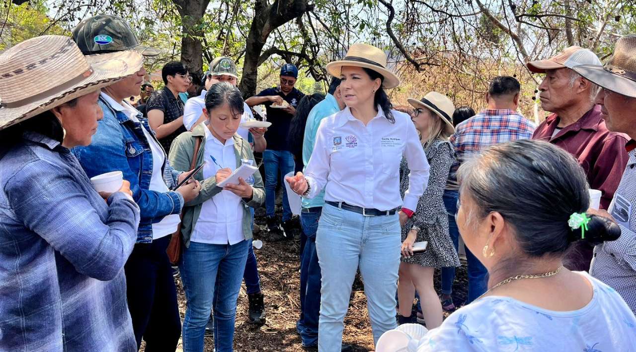 Arrancan 80 productores y la SDEyT, Ciclo Agrario en Tepoztlán