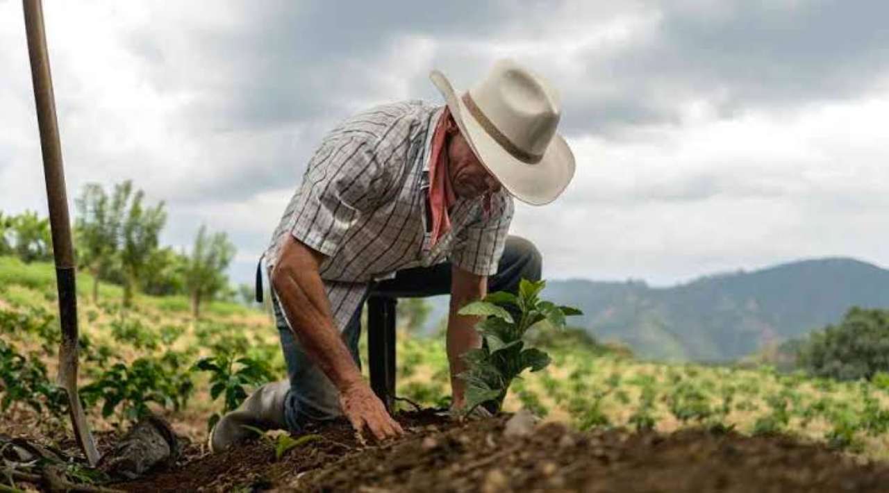 SEDAGRO espera que esta semana se establezcan las lluvias para el periodo de siembra, asegura no hay afectaciones graves por la ola de calor