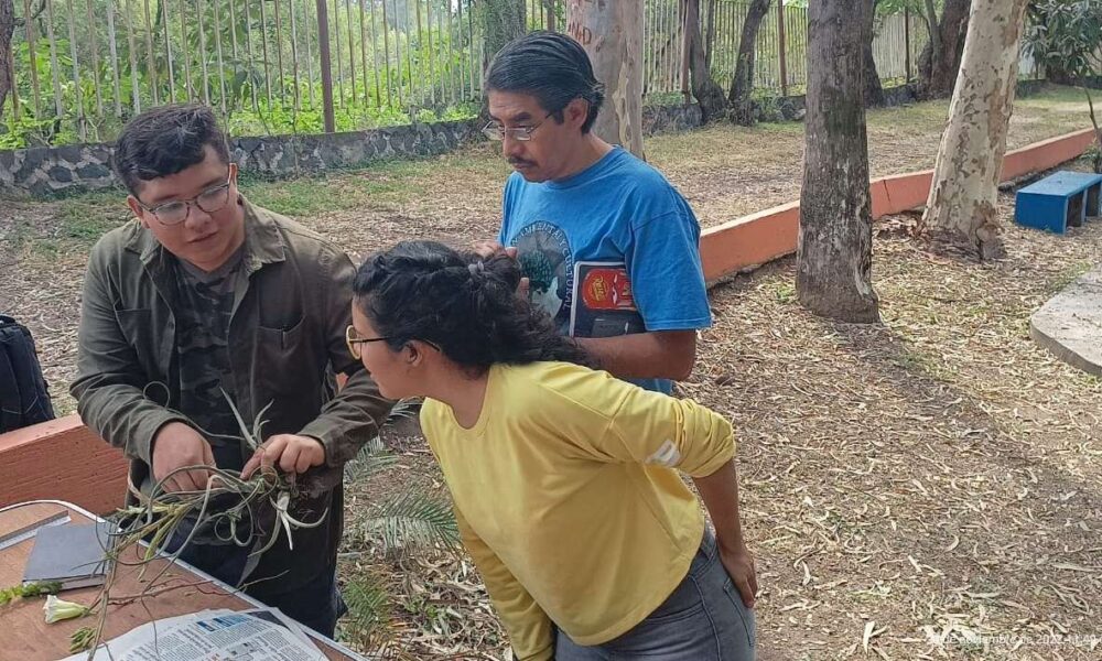 Centro Francés de Estudios Mexicanos y Centroamericanos, pretende la participación ciudadana en inventario de especies vegetales del río Cuautla; los convocó para el 16 de julio