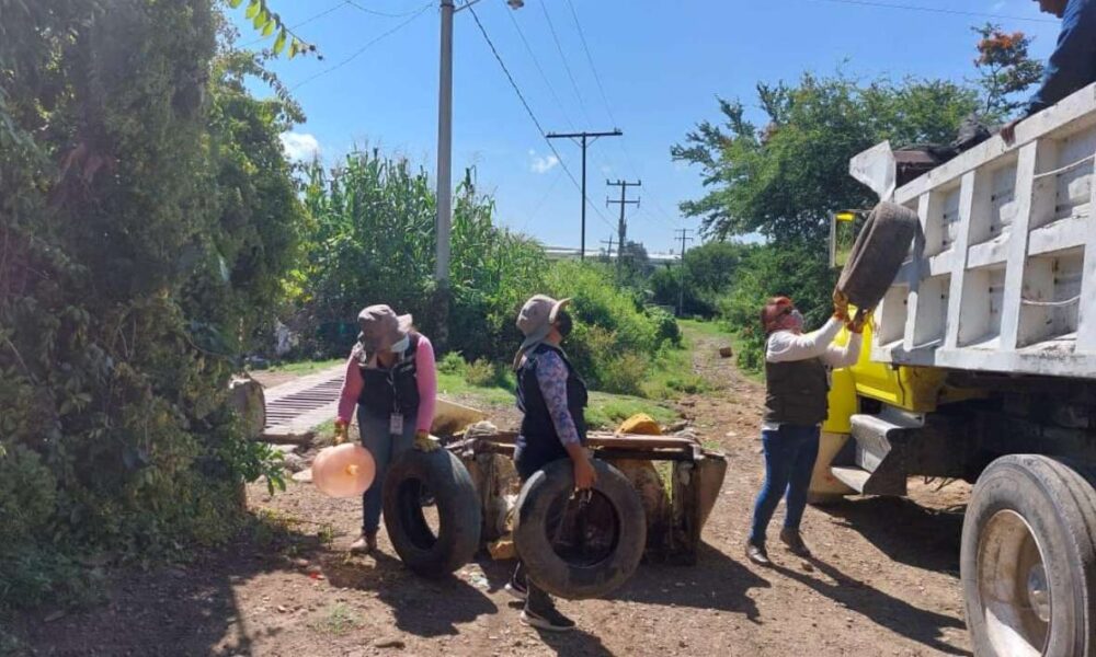 Confirma Secretaría de Salud Estatal 544 casos de dengue acumulados en Morelos, a la semana epidemiológica número 30