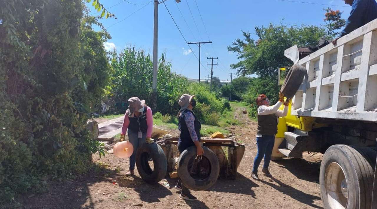 Confirma Secretaría de Salud Estatal 544 casos de dengue acumulados en Morelos, a la semana epidemiológica número 30