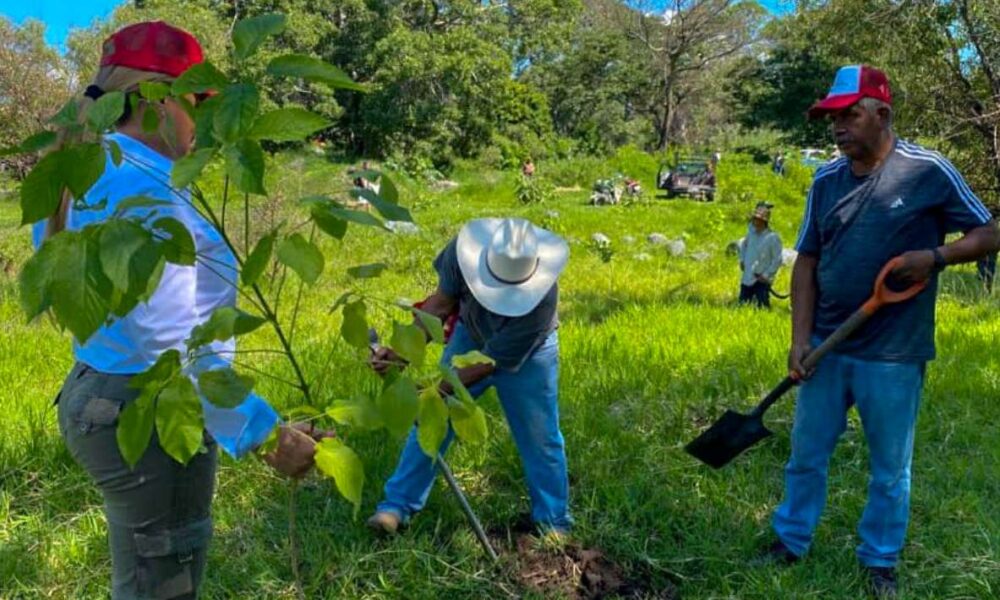 Reforestando Morelos: Supervisan y Riegan 1,500 Árboles en Área Natural Protegida Río Cuautla