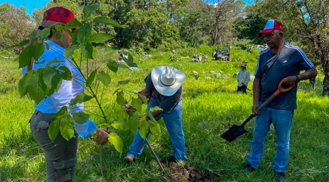 Reforestando Morelos: Supervisan y Riegan 1,500 Árboles en Área Natural Protegida Río Cuautla