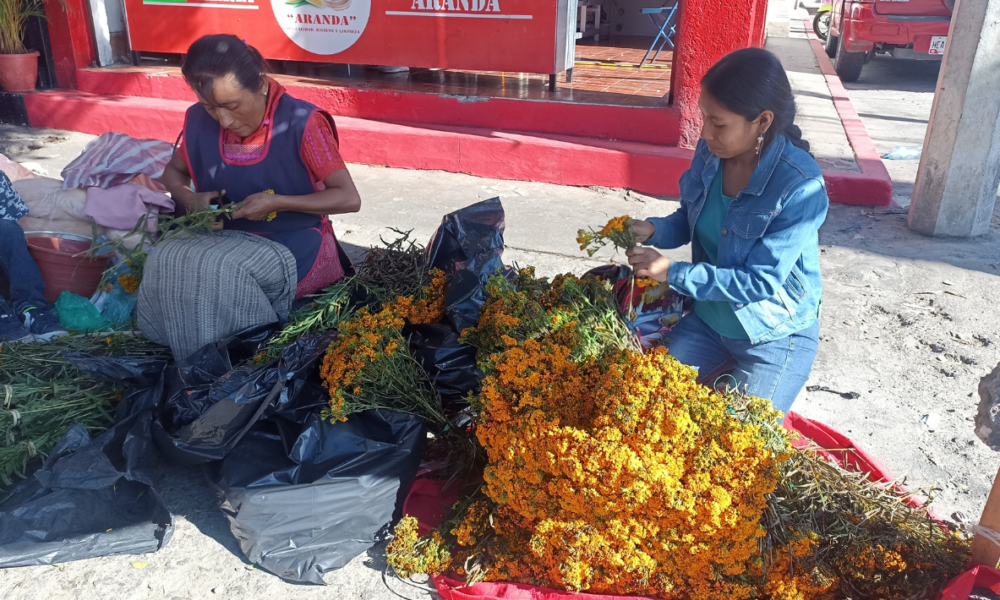 Tesoros de Tradición: Las Cruces de Flor de Pericón en la Festividad de San Miguel Arcángel