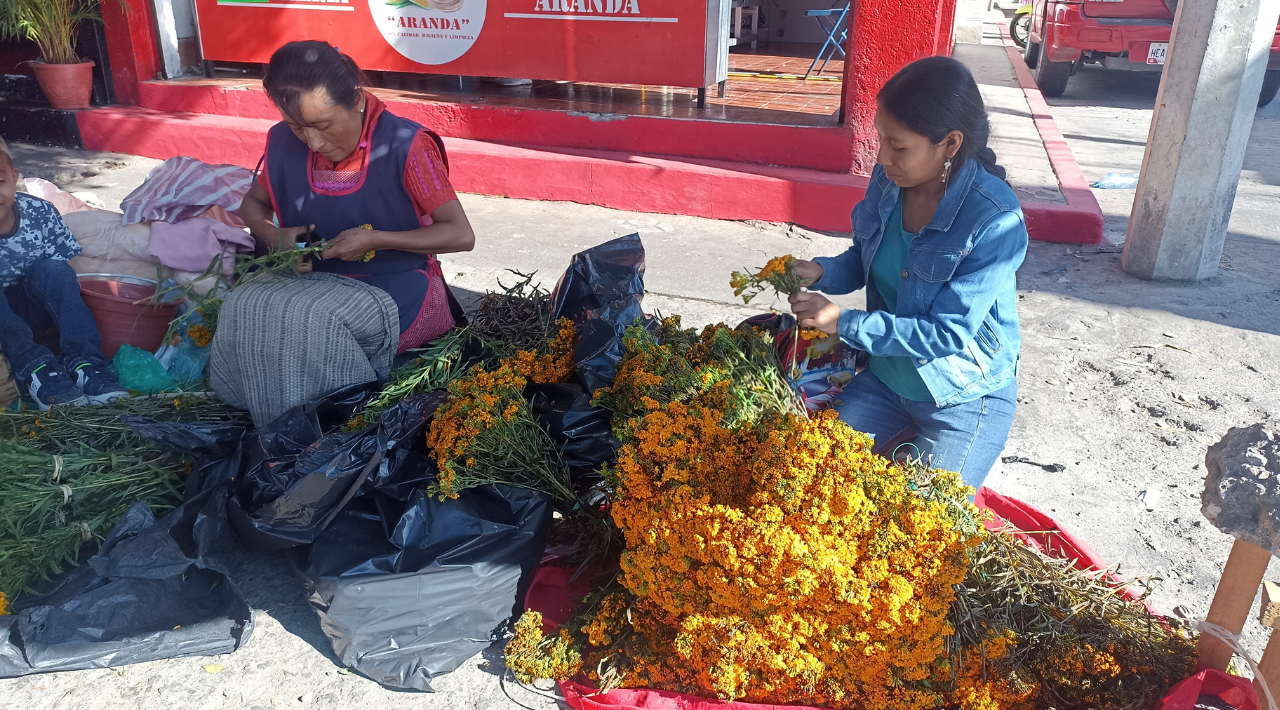 Tesoros de Tradición: Las Cruces de Flor de Pericón en la Festividad de San Miguel Arcángel