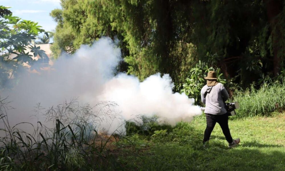 Temixco logra descender en el Semáforo Epidemiológico gracias a medidas efectivas contra el Dengue