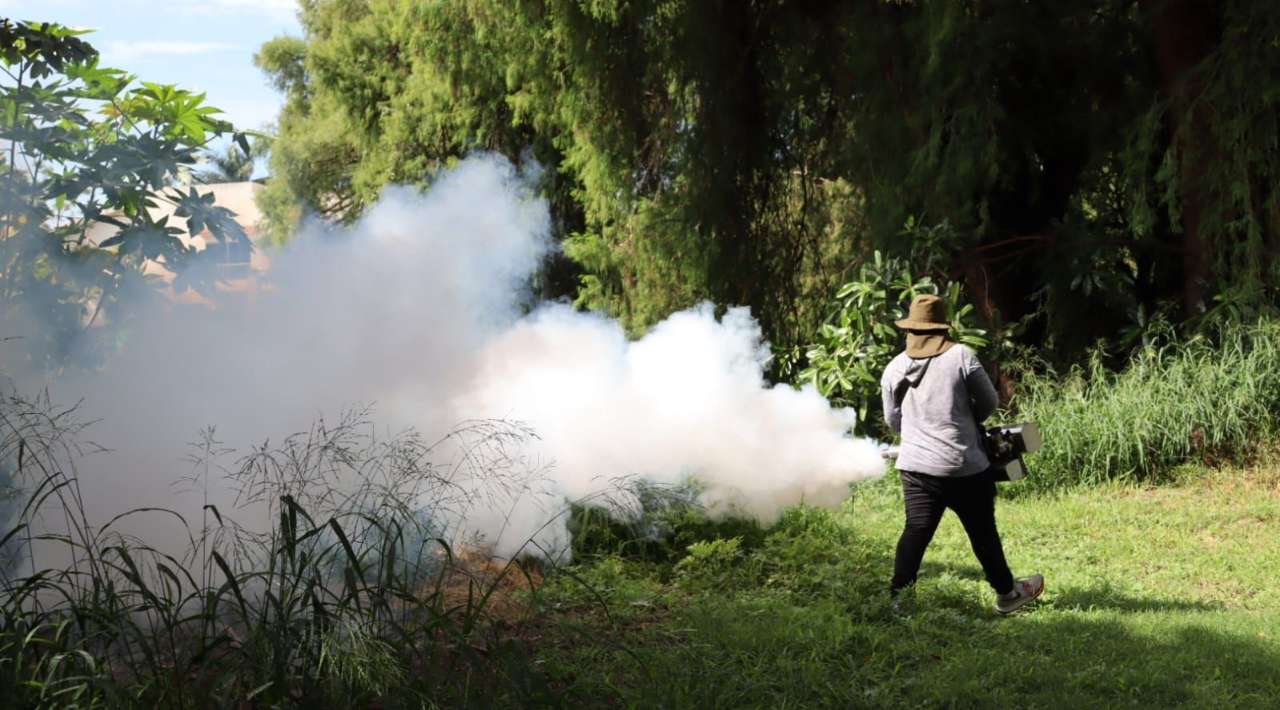 Temixco logra descender en el Semáforo Epidemiológico gracias a medidas efectivas contra el Dengue