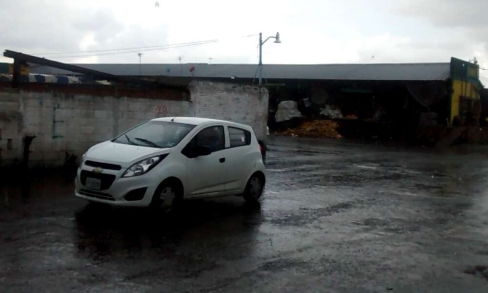 Lluvia ligera en Cuautla provoca la caída de árboles y cortes de energía eléctrica