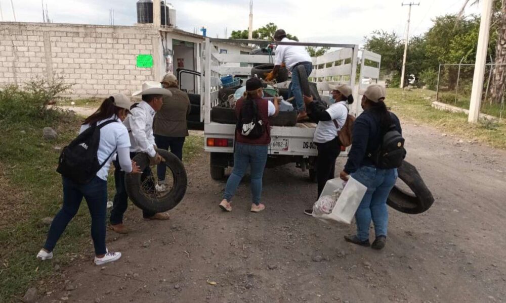 Éxito en la Descacharrización: Ayala Reduce Incidencia de Dengue y Destaca Participación Ciudadana