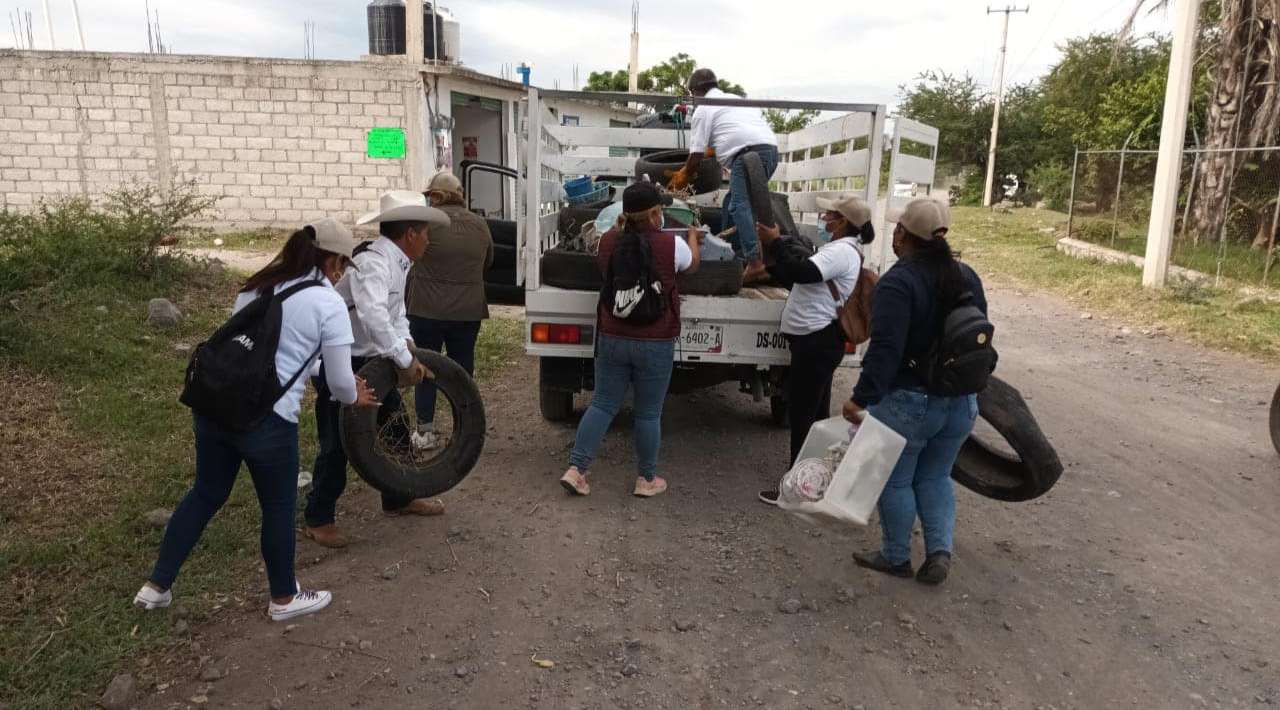 Éxito en la Descacharrización: Ayala Reduce Incidencia de Dengue y Destaca Participación Ciudadana