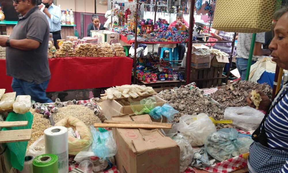 El Tianguis Grande de Yecapixtla: 600 Años de Historia, Tradición y Ofrendas para el Día de Muertos