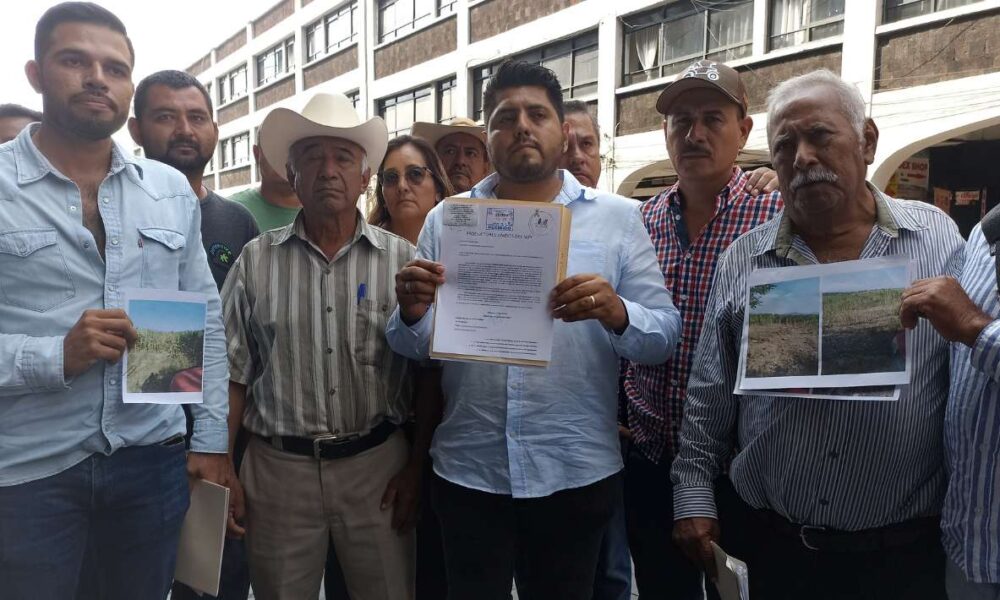 Productores del Sur Buscan Ayuda en Palacio de Gobierno por Pérdida de Cosechas