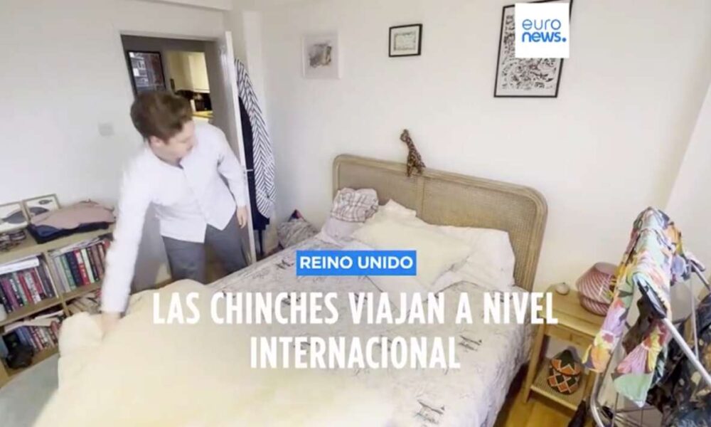 Francia lucha contra una invasión de chinches