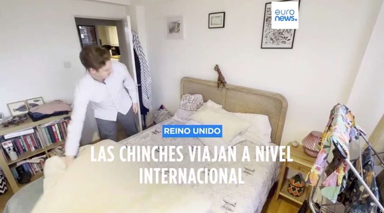 Francia lucha contra una invasión de chinches