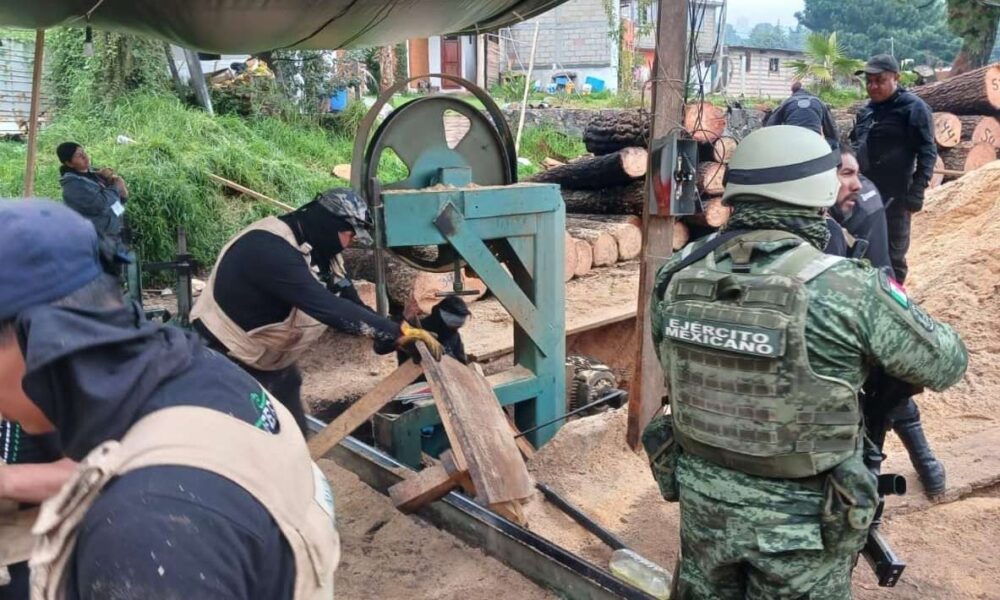 Aseguran ocho aserraderos en Huitzilac en operativo coordinado por autoridades estatales y federales