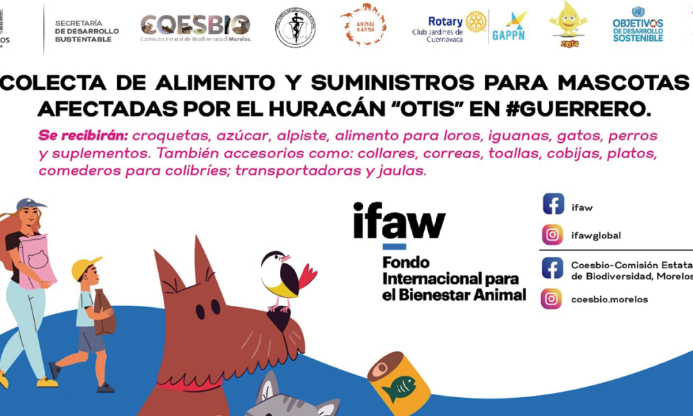 Llama Secretaría de Desarrollo Sustentable a donar alimento y artículos para animales afectados por el huracán “Otis” 