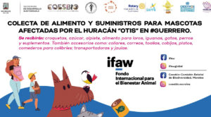 Llama Secretaría de Desarrollo Sustentable a donar alimento y artículos para animales afectados por el huracán “Otis” 