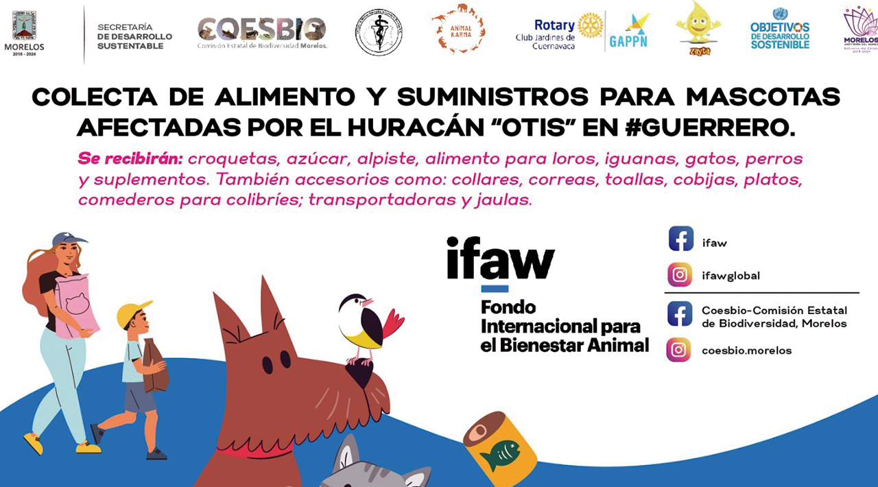 Llama Secretaría de Desarrollo Sustentable a donar alimento y artículos para animales afectados por el huracán “Otis” 