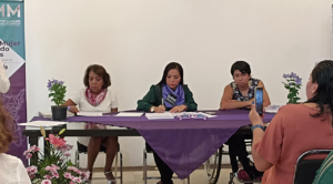 Presidenta del IMM, pide Informe sobre trabajo de Comisión de Feminicidios en Morelos