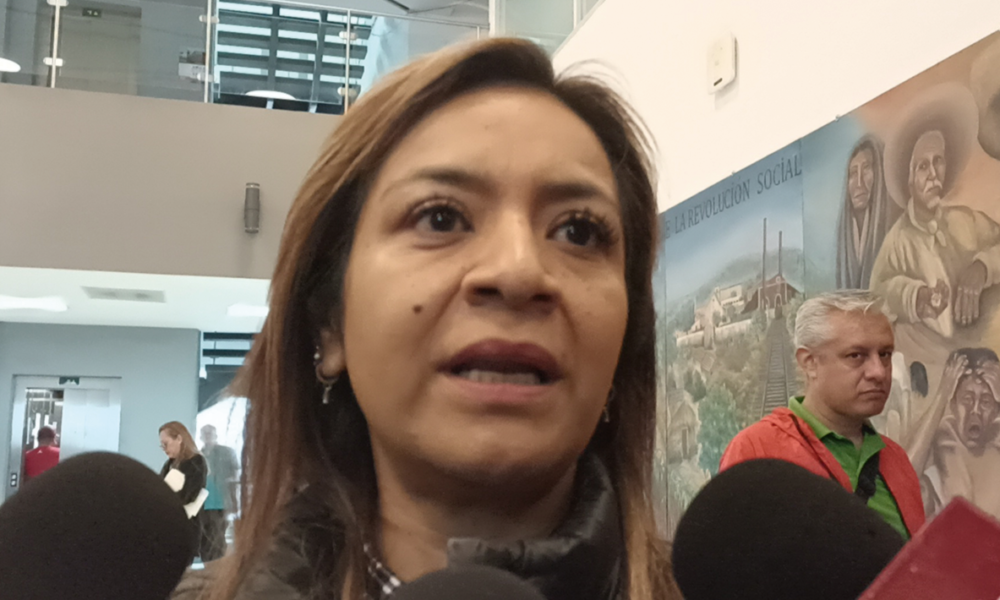 Afirma la diputada Érika Hernández Gordillo que se aprobará en tiempo y forma el proyecto del paquete económico del gobierno del estado de 2024