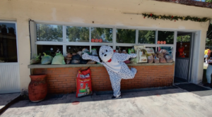 El “Croquetón 2023” se llevará a cabo los días 9 y 10 de diciembre en el tren escénico de Cuautla; esperan recolectar tres toneladas de alimento para perros y gatos que viven en refugios de Cuautla