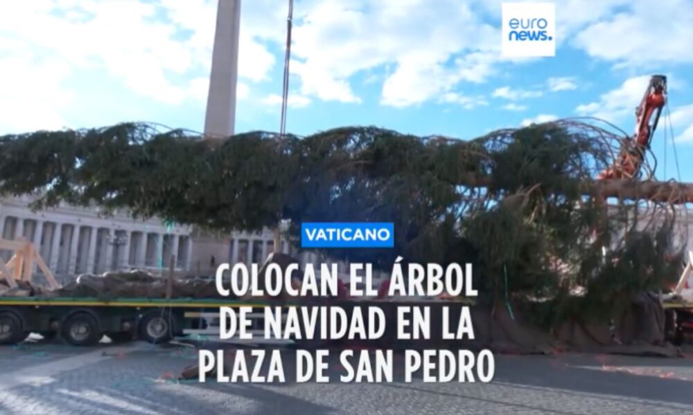 COLOCAN ÁRBOL NAVIDEÑO EN EL VATICANO CON UN GRAN PROPÓSITO