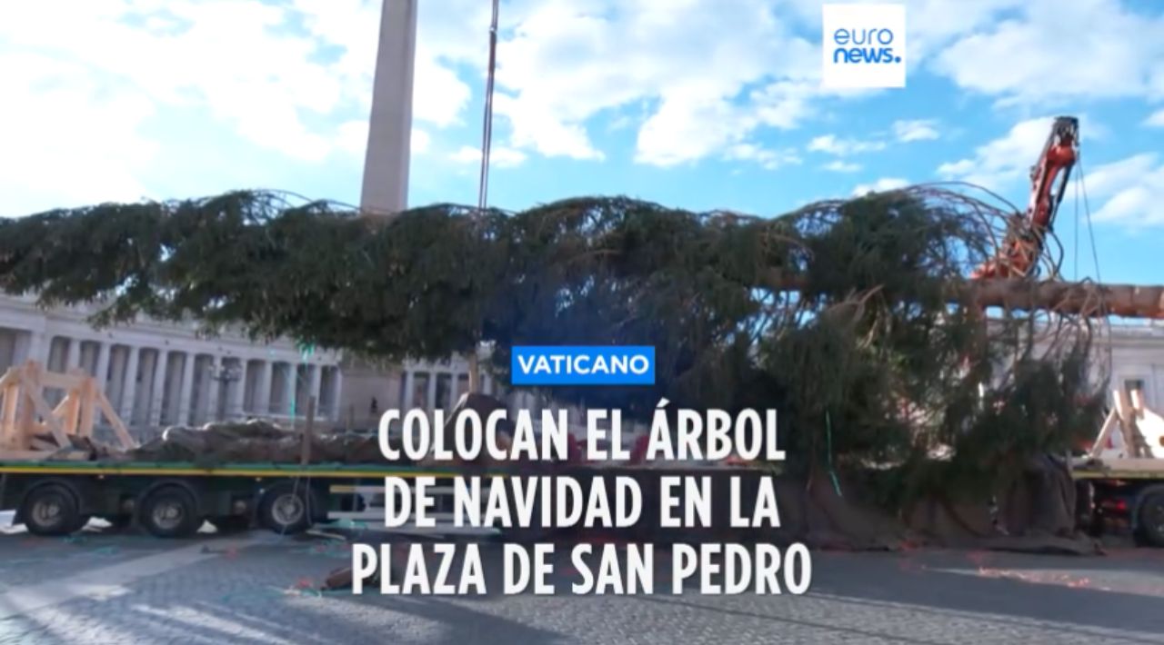 COLOCAN ÁRBOL NAVIDEÑO EN EL VATICANO CON UN GRAN PROPÓSITO