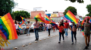 Reconocen activistas avance, en el marco legal que prohíbe terapias de reconversión a personas con orientación no heterosexual