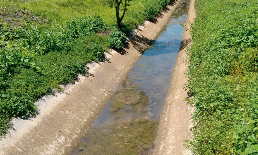 La comisión estatal de agua señaló la importancia de ejecutar obras para la rehabilitación de canales de riego y con eso disminuir las sequías por la falta de lluvias