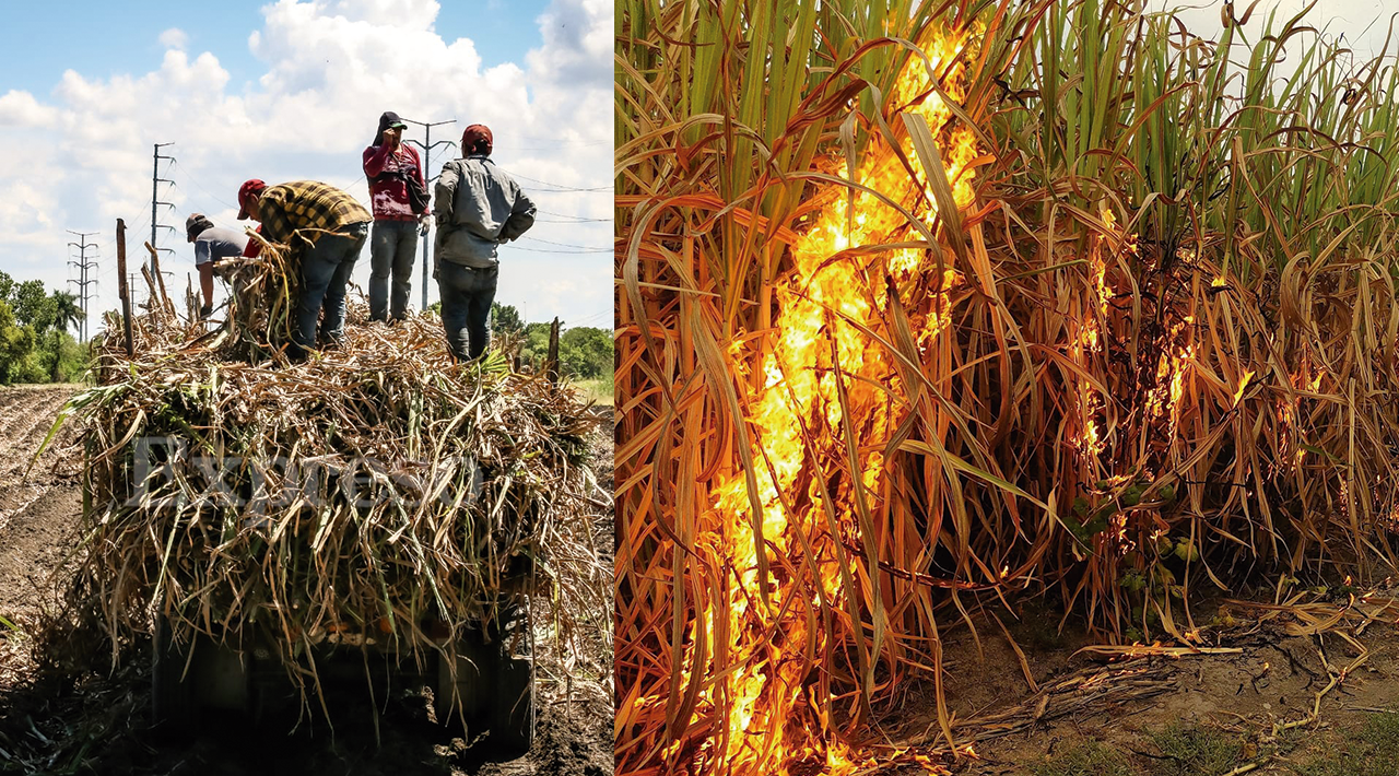 El Ingenio Beta San Miguel de Casasano y la Unión Local de Productores de Caña de Azúcar, acuerdan comparar medición de productividad, para un control justo