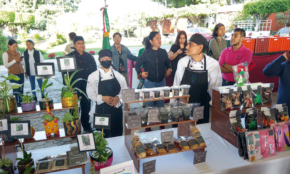 Más de 250 adolescentes y jóvenes, con capacitación laboral del Departamento de Educación Especial del IEBEM, exponen y venden sus productos en el tren escénico de Cuautla