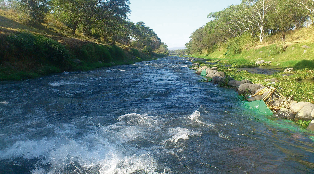 A través de acciones de la asociación “Salvemos al Río Cuautla”, se pretende frenar la desaparición de tres especies de fauna en peligro de extinción