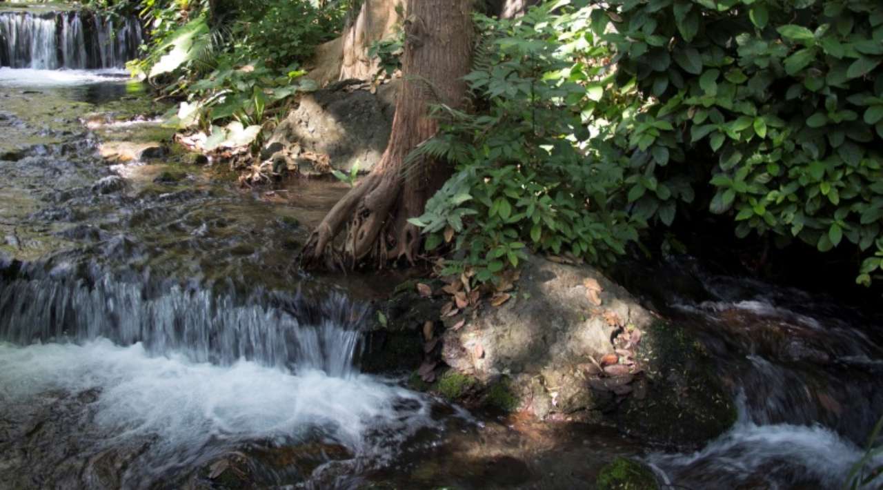 Operativos conjuntos en Áreas Naturales Protegidas de Morelos para detener invasiones