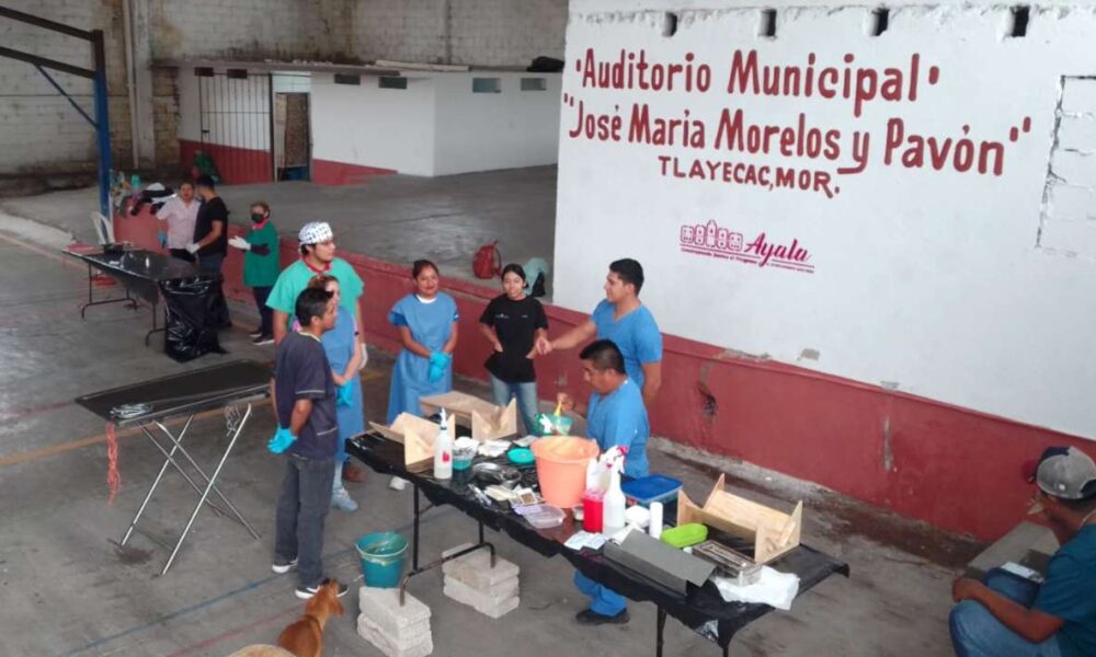 Esterilización masiva de mascotas en Ayala: Compromiso por el control poblacional