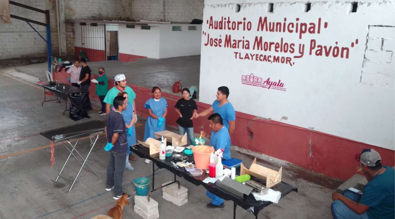 Esterilización masiva de mascotas en Ayala: Compromiso por el control poblacional