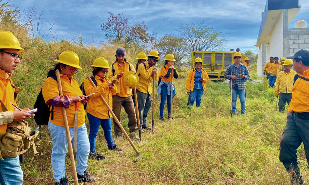 Aprueban combatientes forestales, curso básico sobre el manejo del fuego 