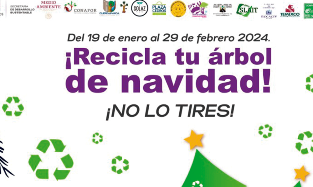 El próximo 19 de enero, inicia la octava edición de la campaña de Acopio de Árboles Navideños 2024