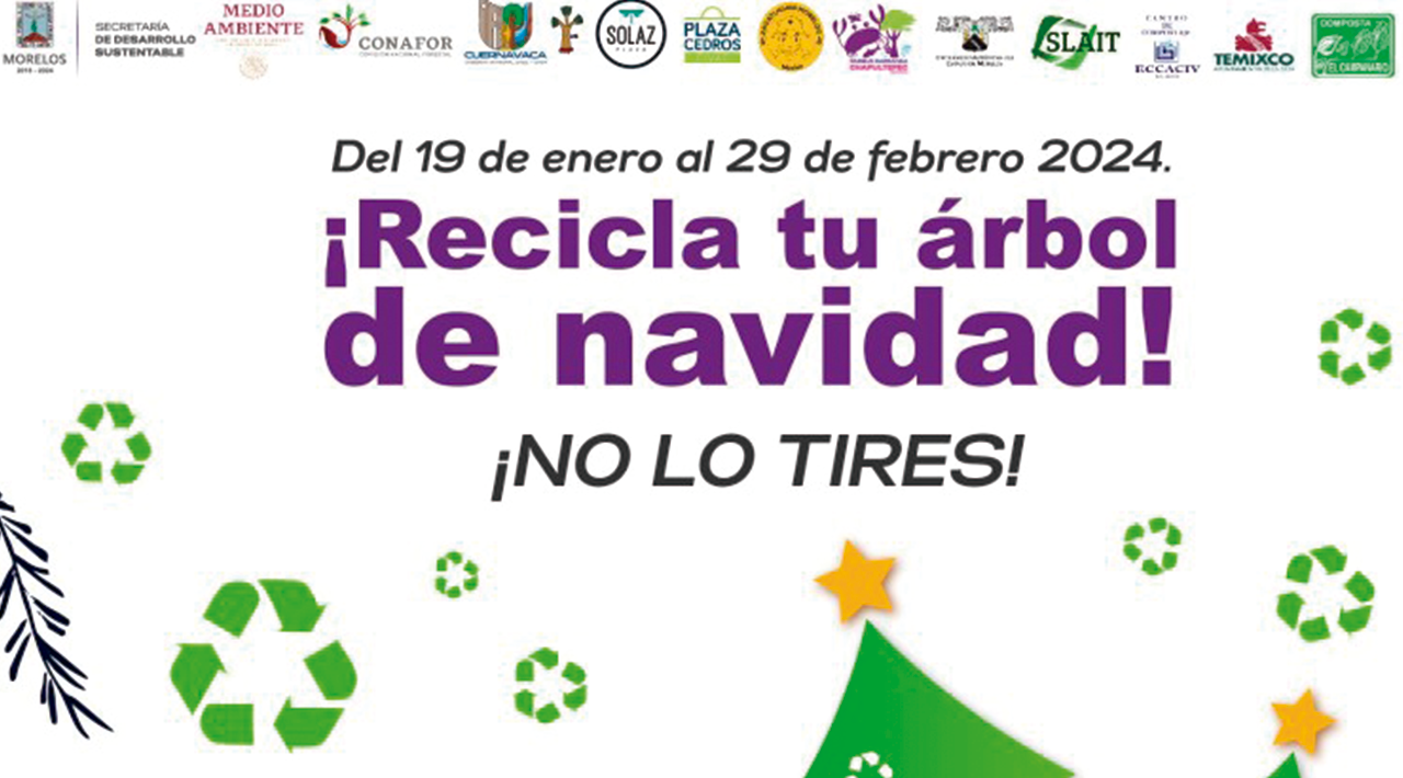 El próximo 19 de enero, inicia la octava edición de la campaña de Acopio de Árboles Navideños 2024